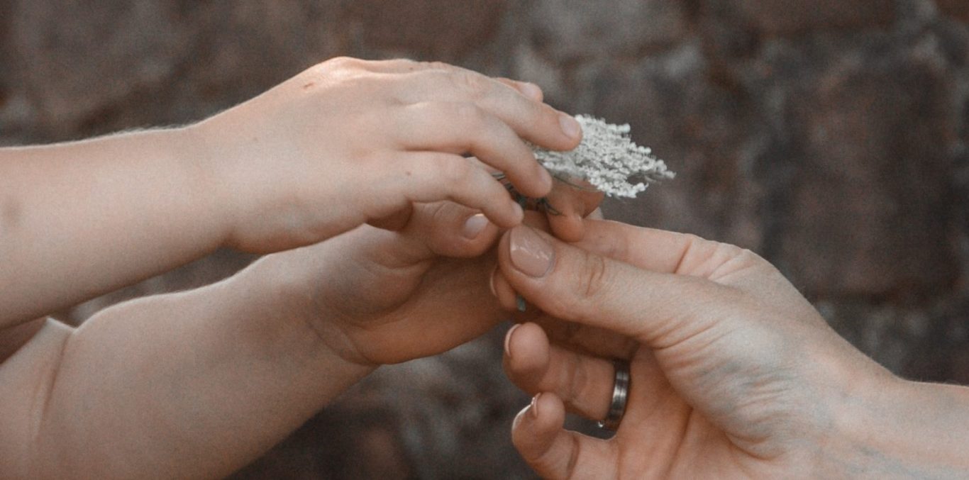 Kleine Hände mit Blumen Kinderhand mit Blume für Mama